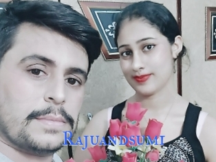 Rajuandsumi