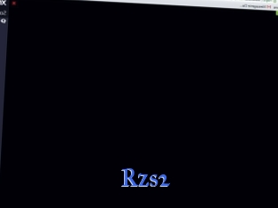 Rzs2
