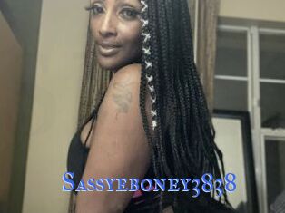 Sassyeboney3838