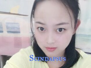 Scindapsus