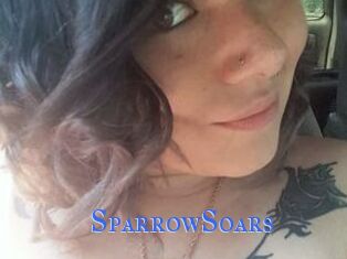 SparrowSoars