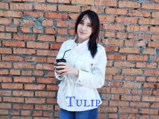 Tulip