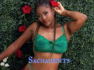 Sachahents