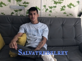 Salvatredelrey