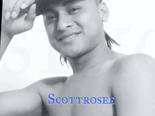 Scottrosee