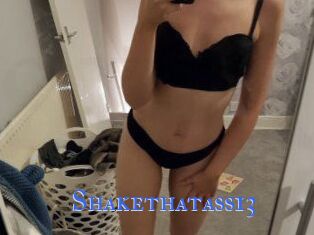 Shakethatass13