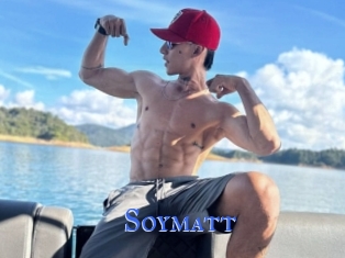 Soymatt