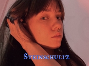 Steinschultz