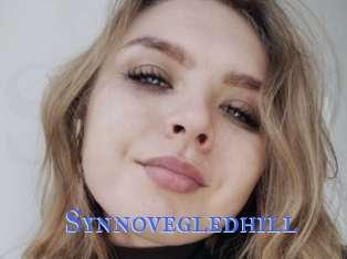Synnovegledhill