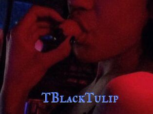 TBlackTulip