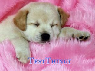 TestThingy