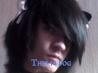 This_is_dog