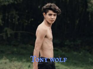 Tony_wolf