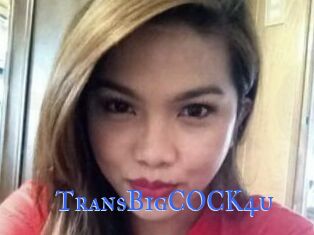TransBigCOCK4u