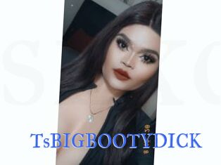 TsBIGBOOTYDICK