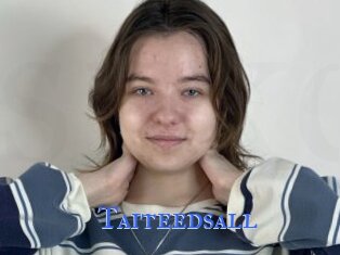 Taiteedsall