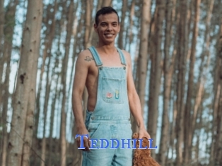 Teddhill