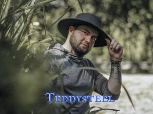 Teddysteel