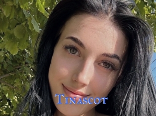 Tinascot