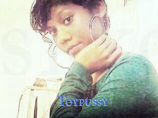 Toypussy
