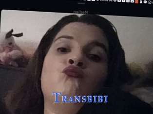 Transbibi