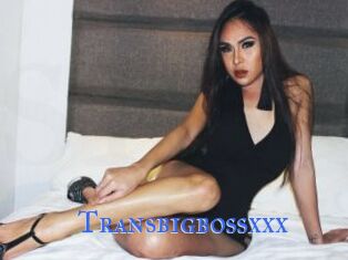 Transbigbossxxx