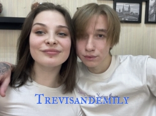 Trevisandemily