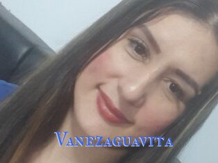 Vanezaguavita
