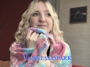 Vannessaspark