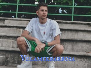 Velamikbarbosa