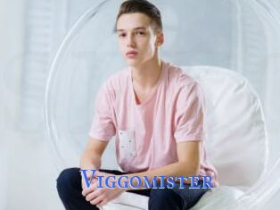 Viggomister