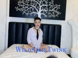 WildAsianTwink