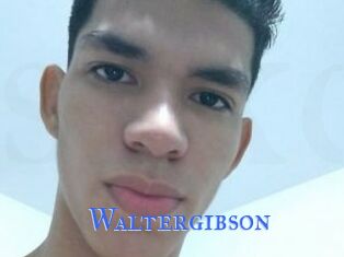 Waltergibson