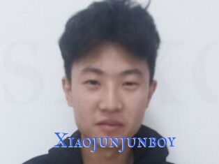 Xiaojunjunboy