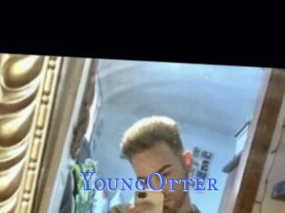 YoungOtter