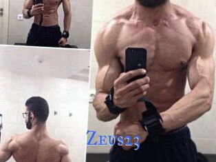 Zeus23