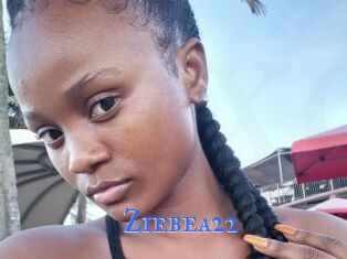 Ziebea22