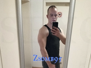 Zsomb95